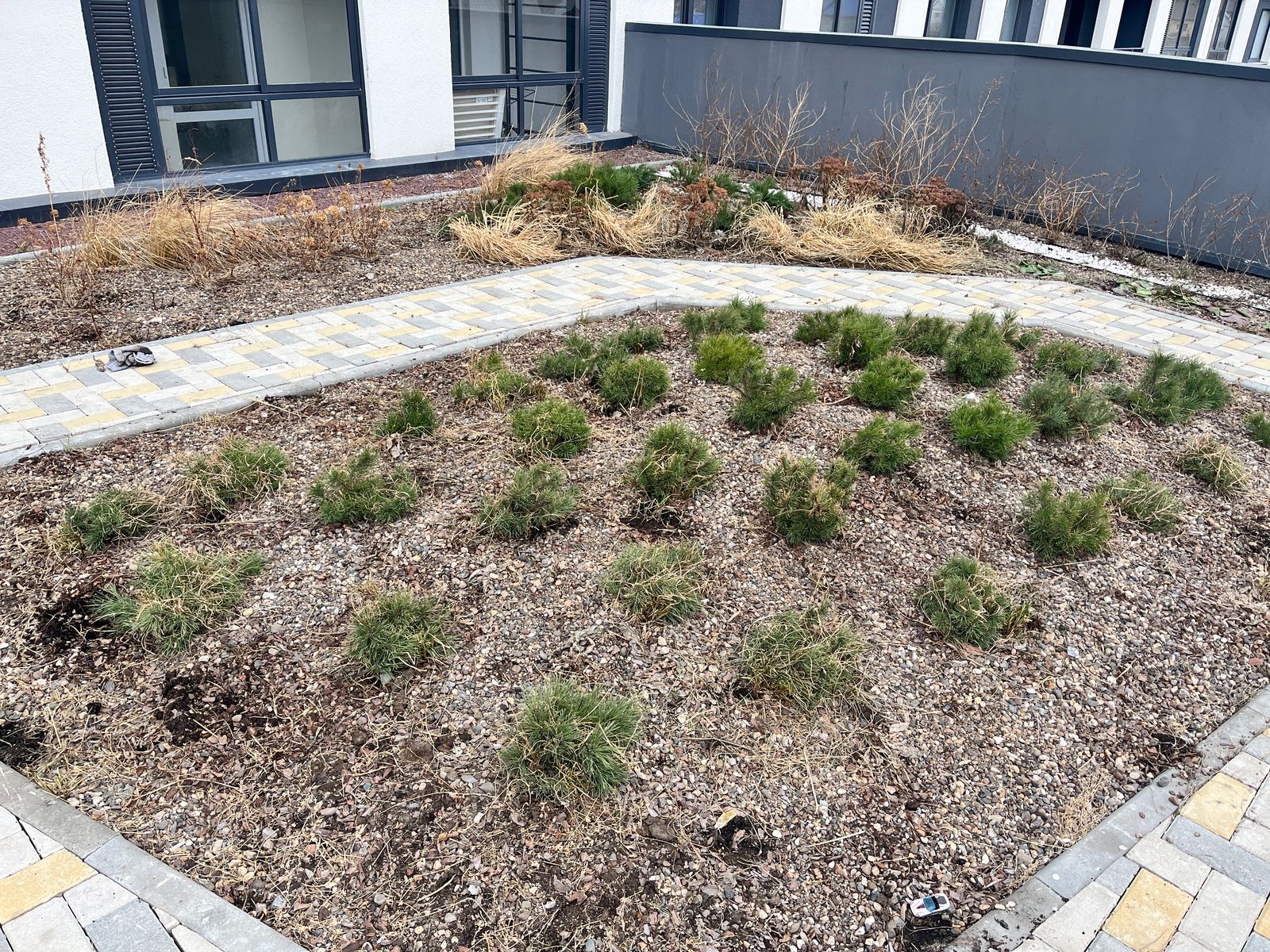 file/news/2025-04-08/leto_(1).jpeg